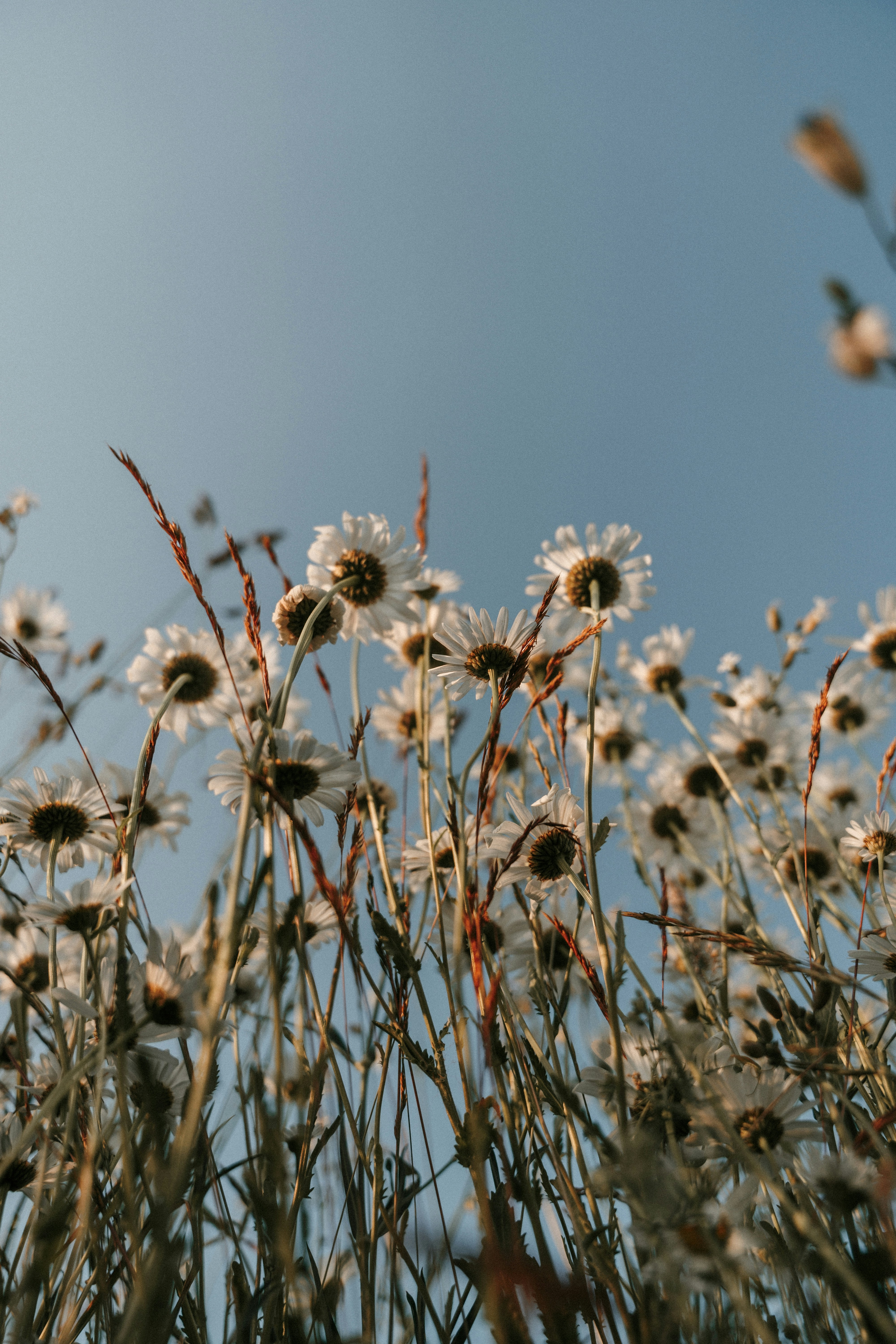 Photo by luiseandnic