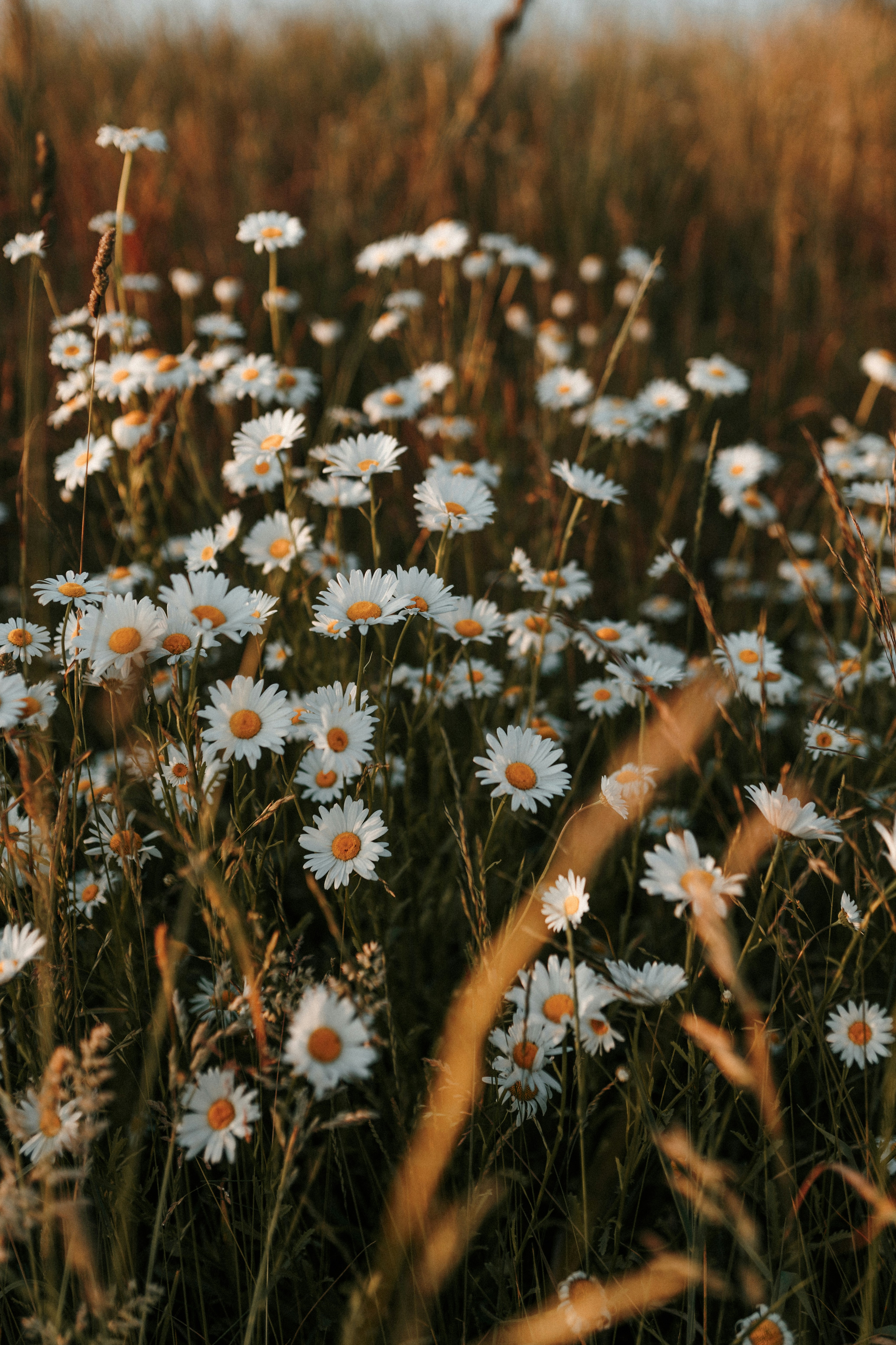 Photo by luiseandnic