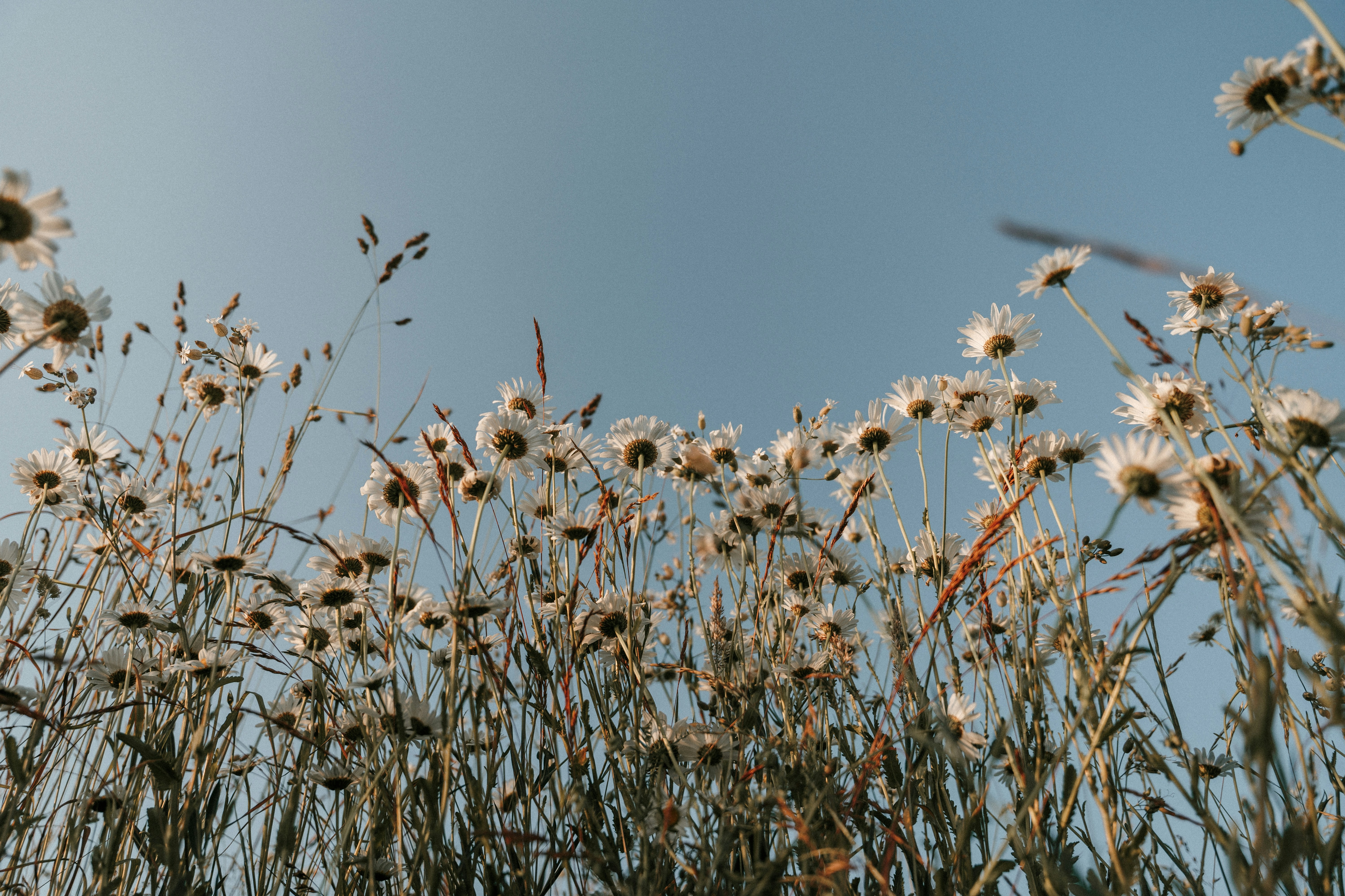 Photo by luiseandnic