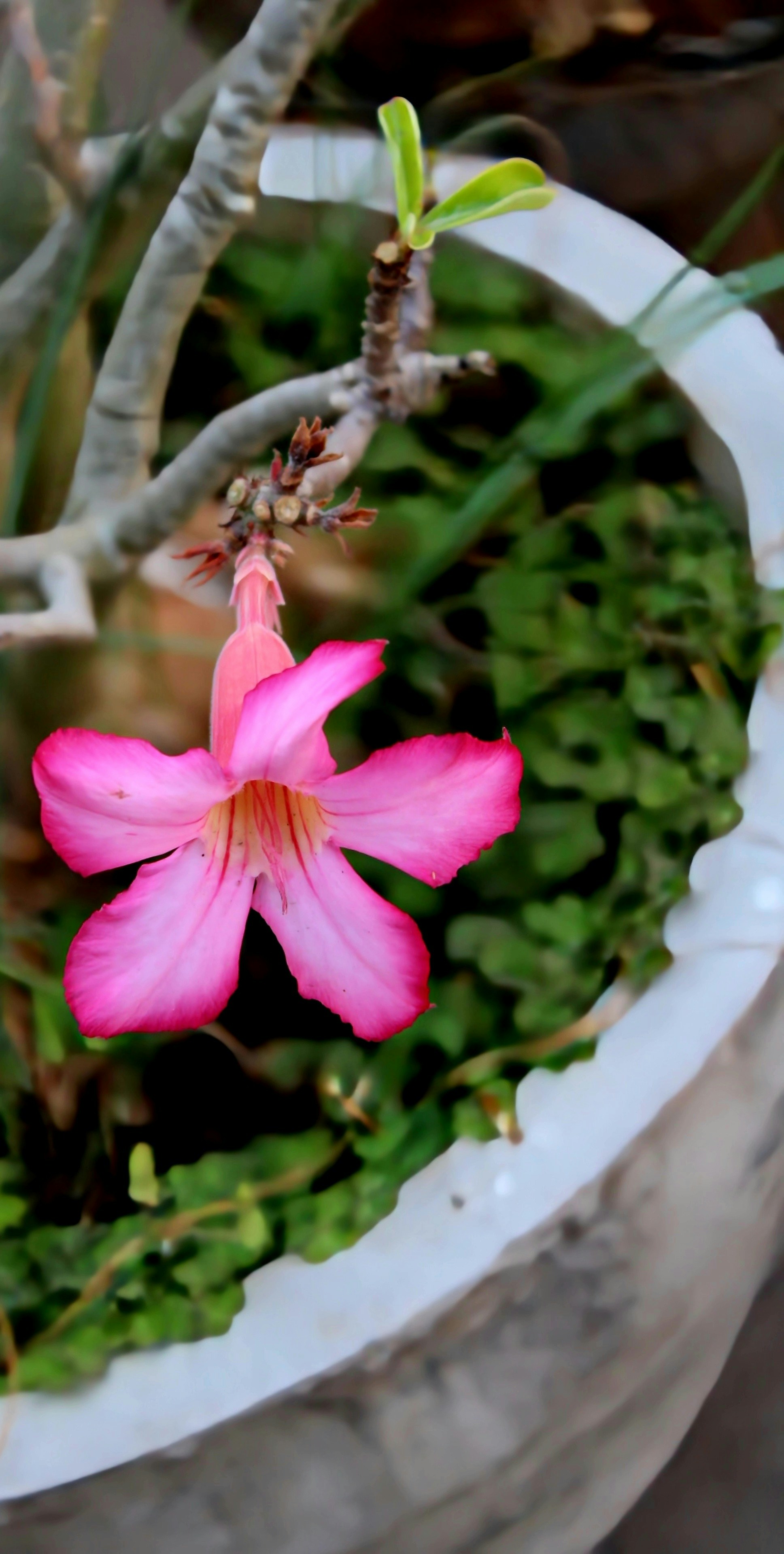 Photo by kailashmaratha55