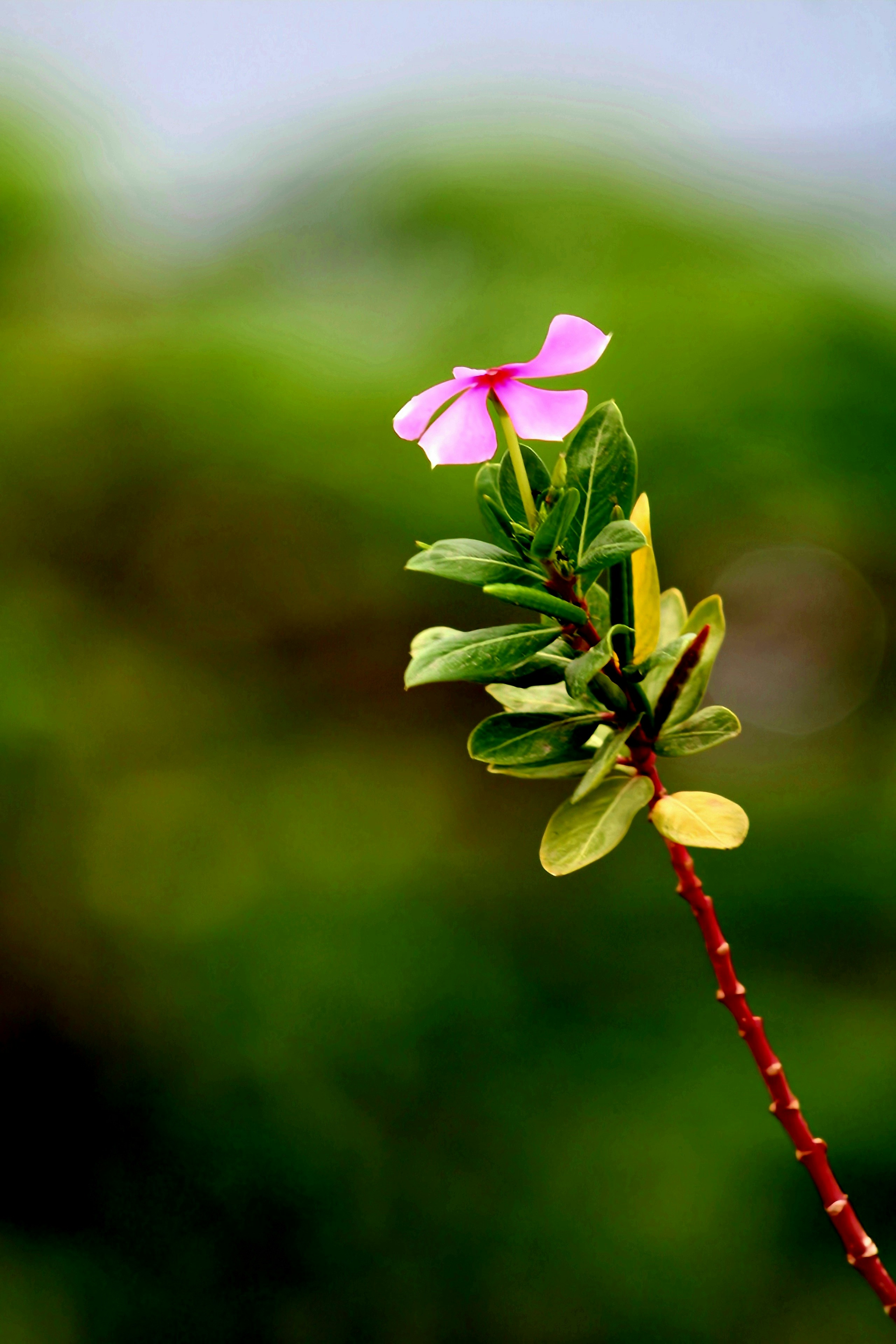 Photo by kailashmaratha55