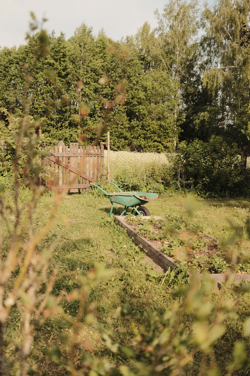 Green Waste Removal