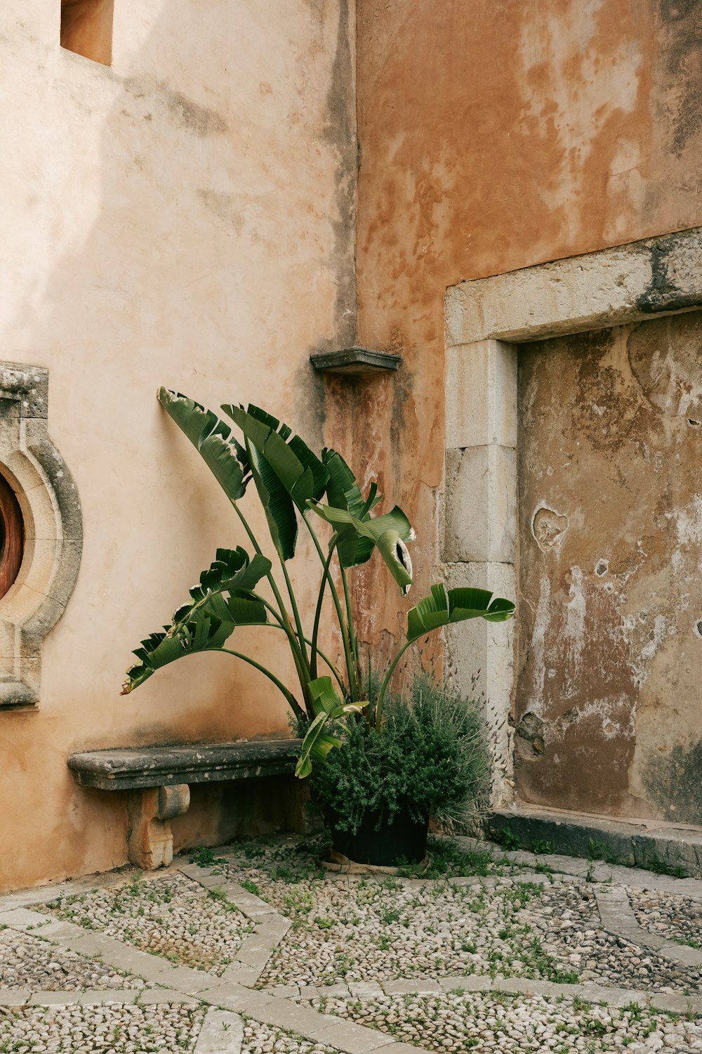 a potted plant sitting next to a stone bench