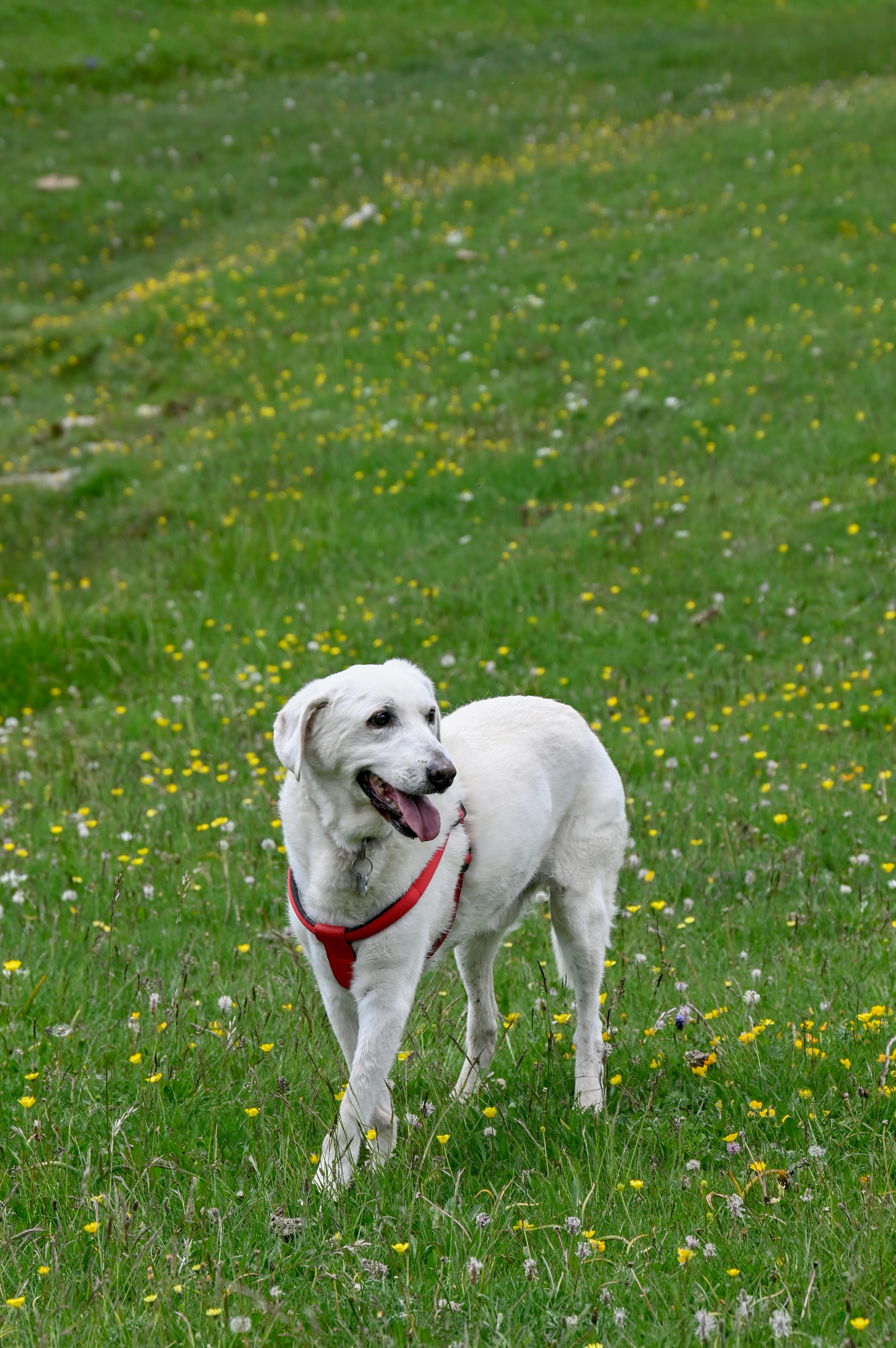 Photo by ferranventura