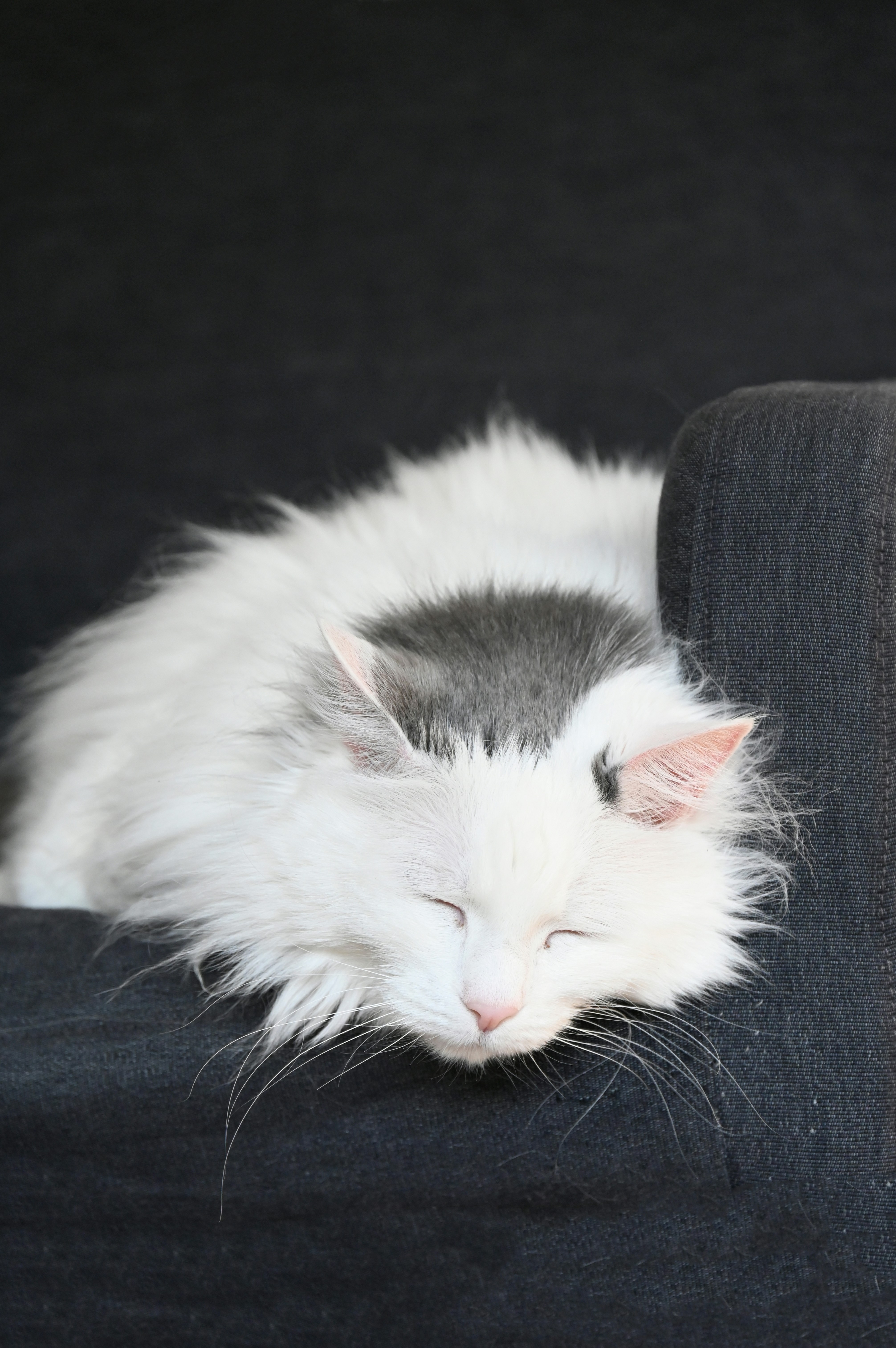 Photo by ferranventura