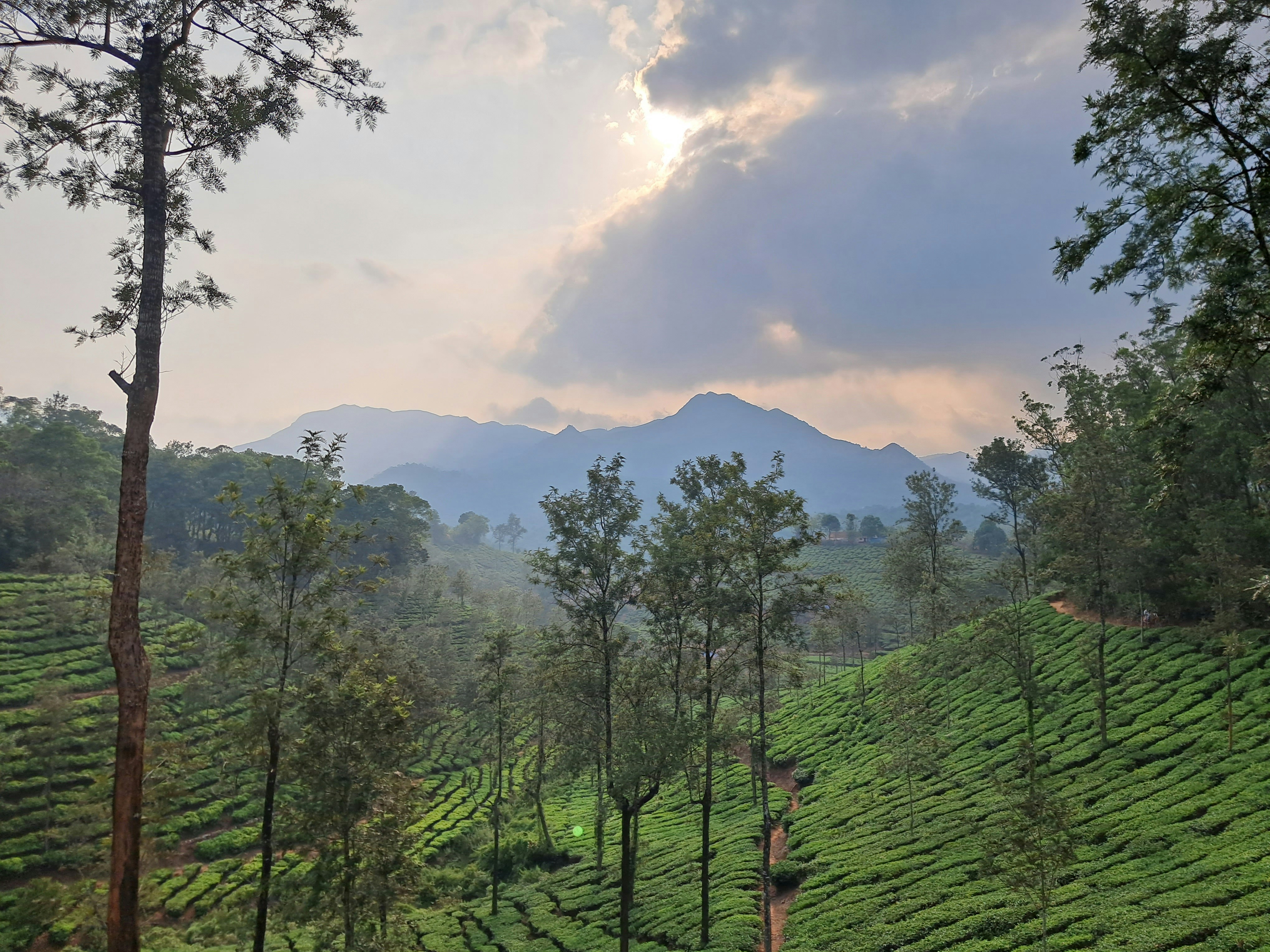 Wayanad Kerala