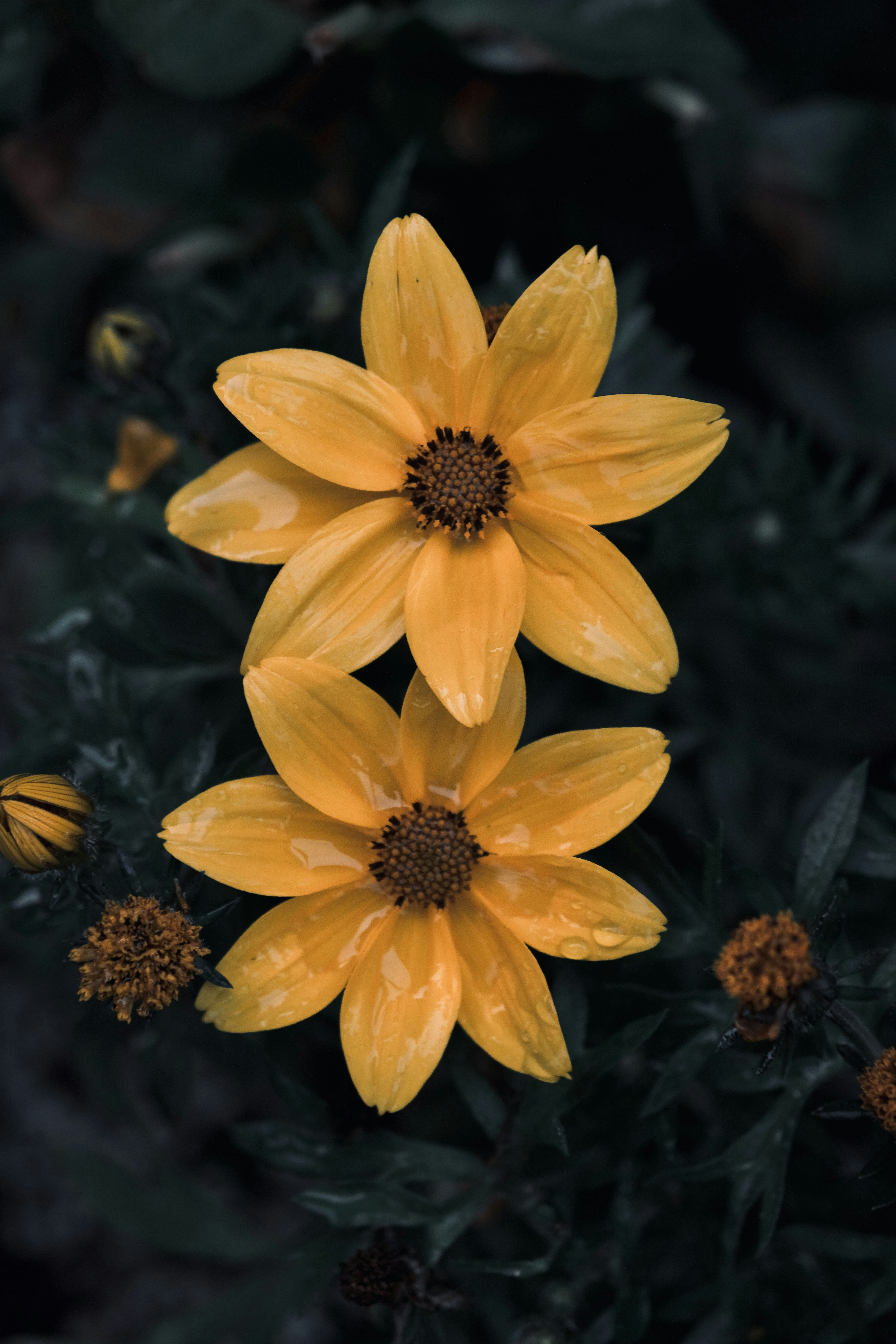 Photo by mkrawczynski