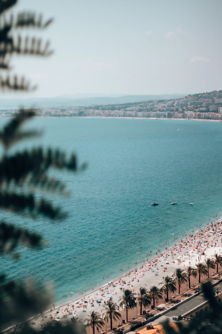 Palmbladeren bij een mediterrane kust
