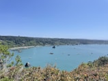 A panoramic view of Acapulco bay with boats sailing under a clear blue sky.