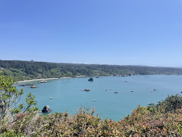 A panoramic view of the calm bay at El Rincon with boats gently floating.