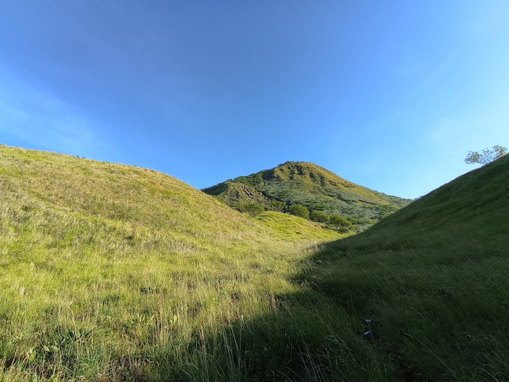 a grassy hill with a blue sky in the background