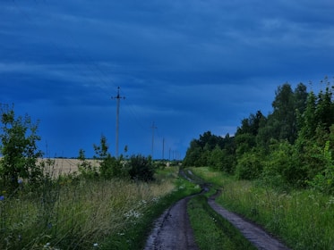 A rural dirt road winds through lush green fields and dense trees under a vibrant, deep blue sky. Utility poles and wires run alongside the road, creating a rustic landscape. The surrounding vegetation appears dense and lively, with a mix of grassy patches and thick trees.