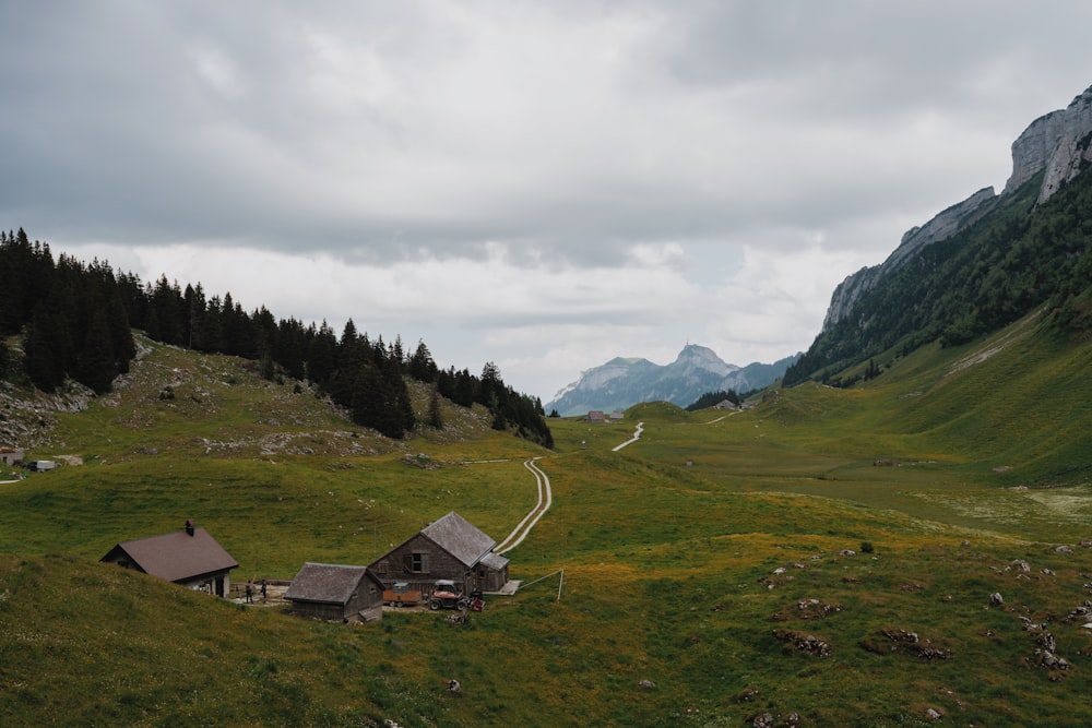 a house in the middle of a grassy field