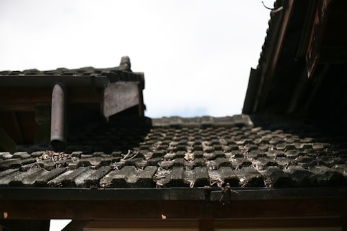 A close-up view of a weathered, tiled roof with dark, textured tiles. There is a pipe protruding from the structure, and dry leaves and debris are scattered across the tiles. The roof shows signs of aging and exposure to the elements, with some spots appearing mossy or worn.