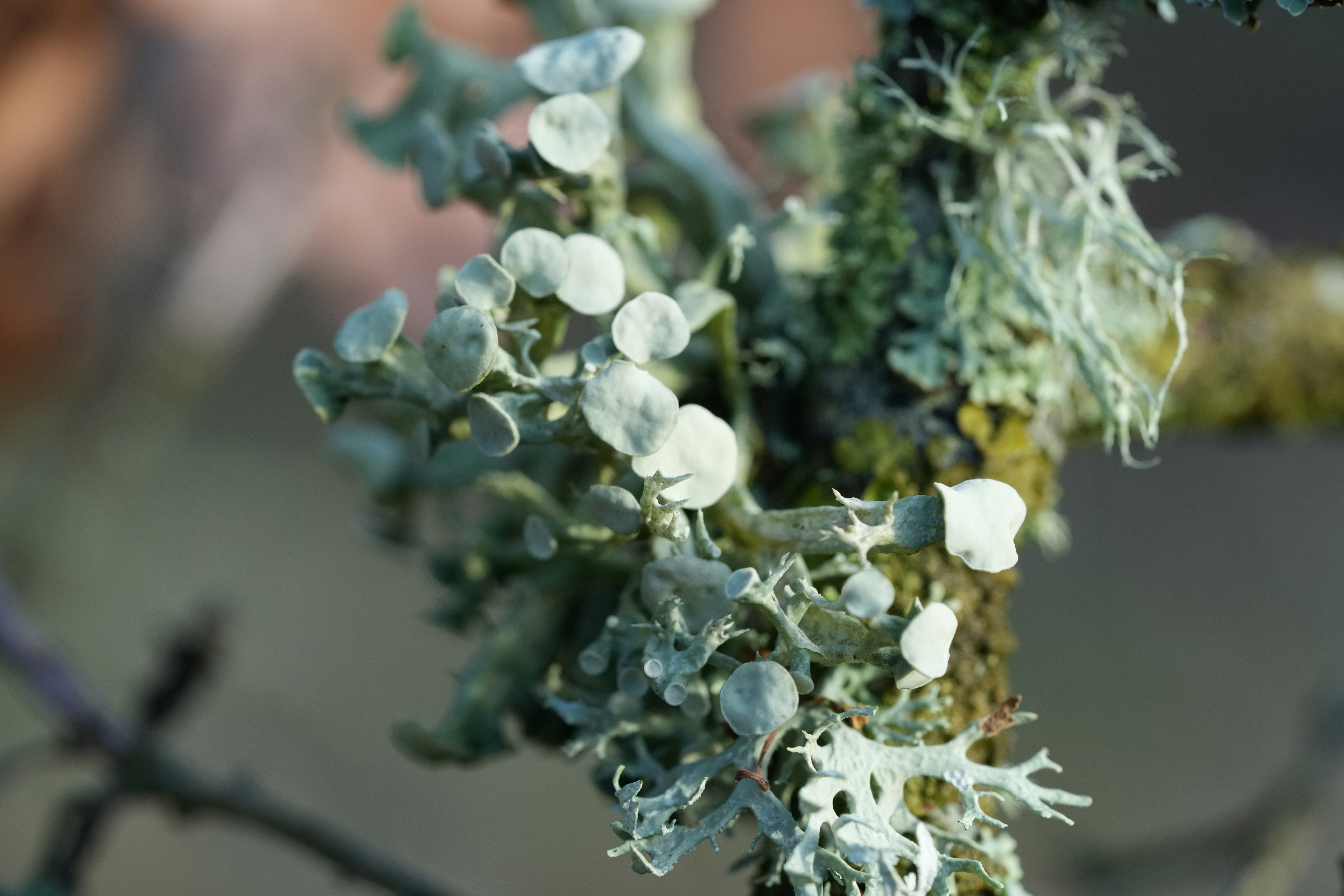 Photo by lavievagabonde