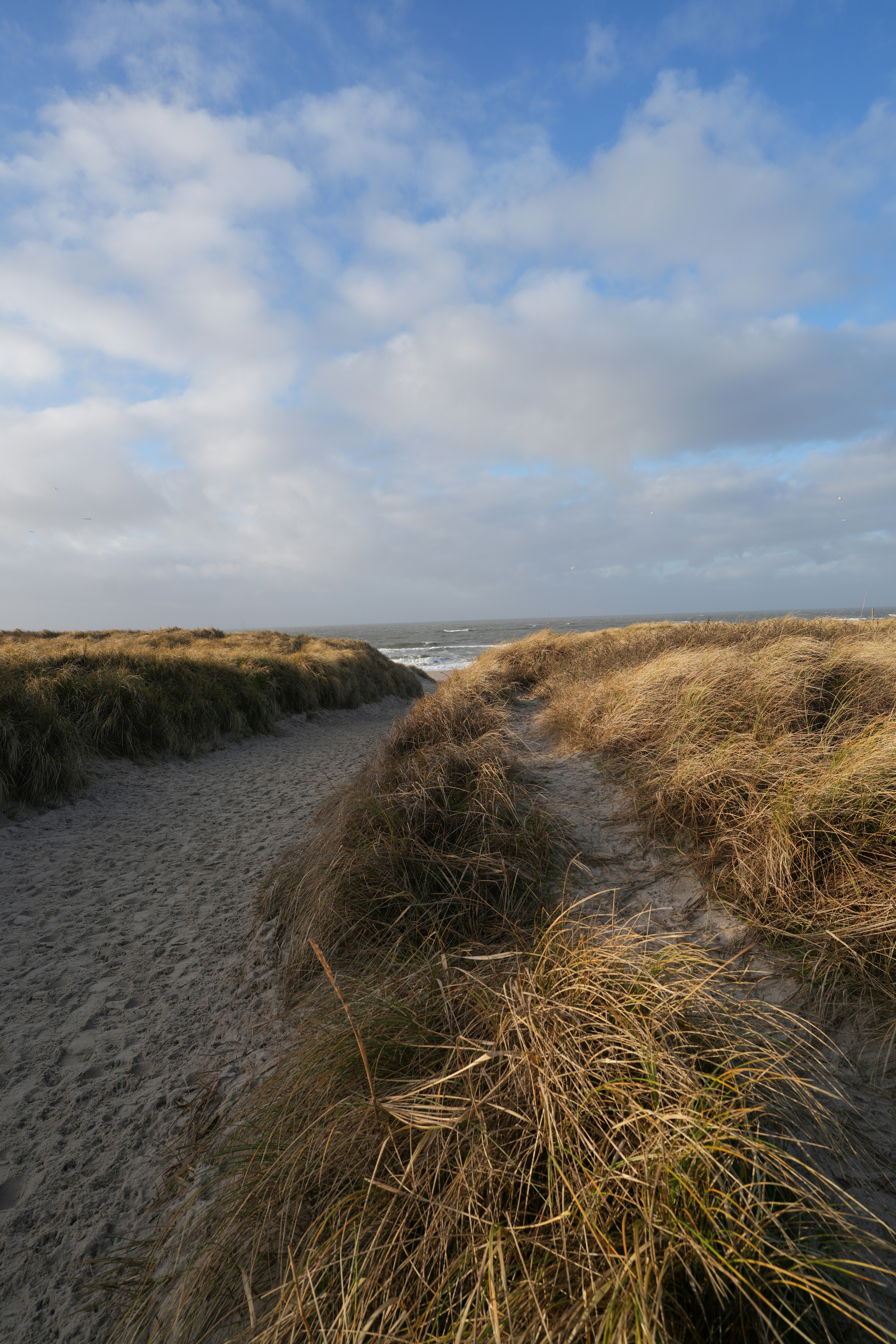 Photo by lavievagabonde