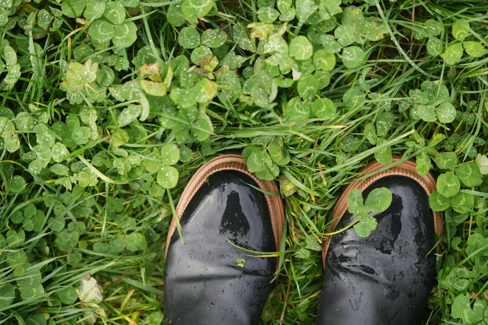 a pair of black shoes sitting on top of a lush green field