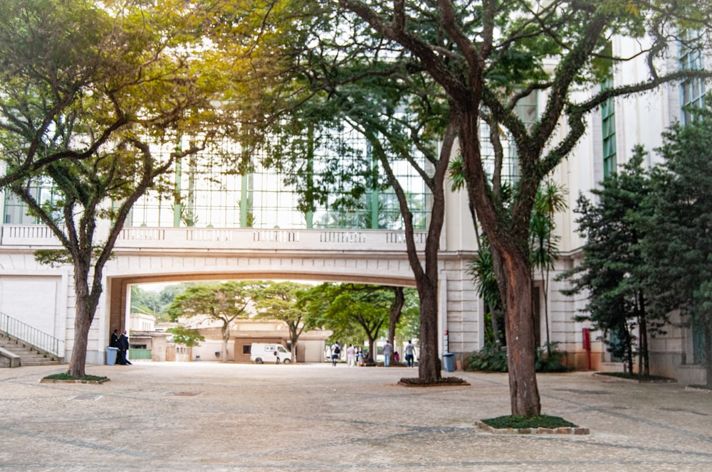 a couple of trees that are in front of a building