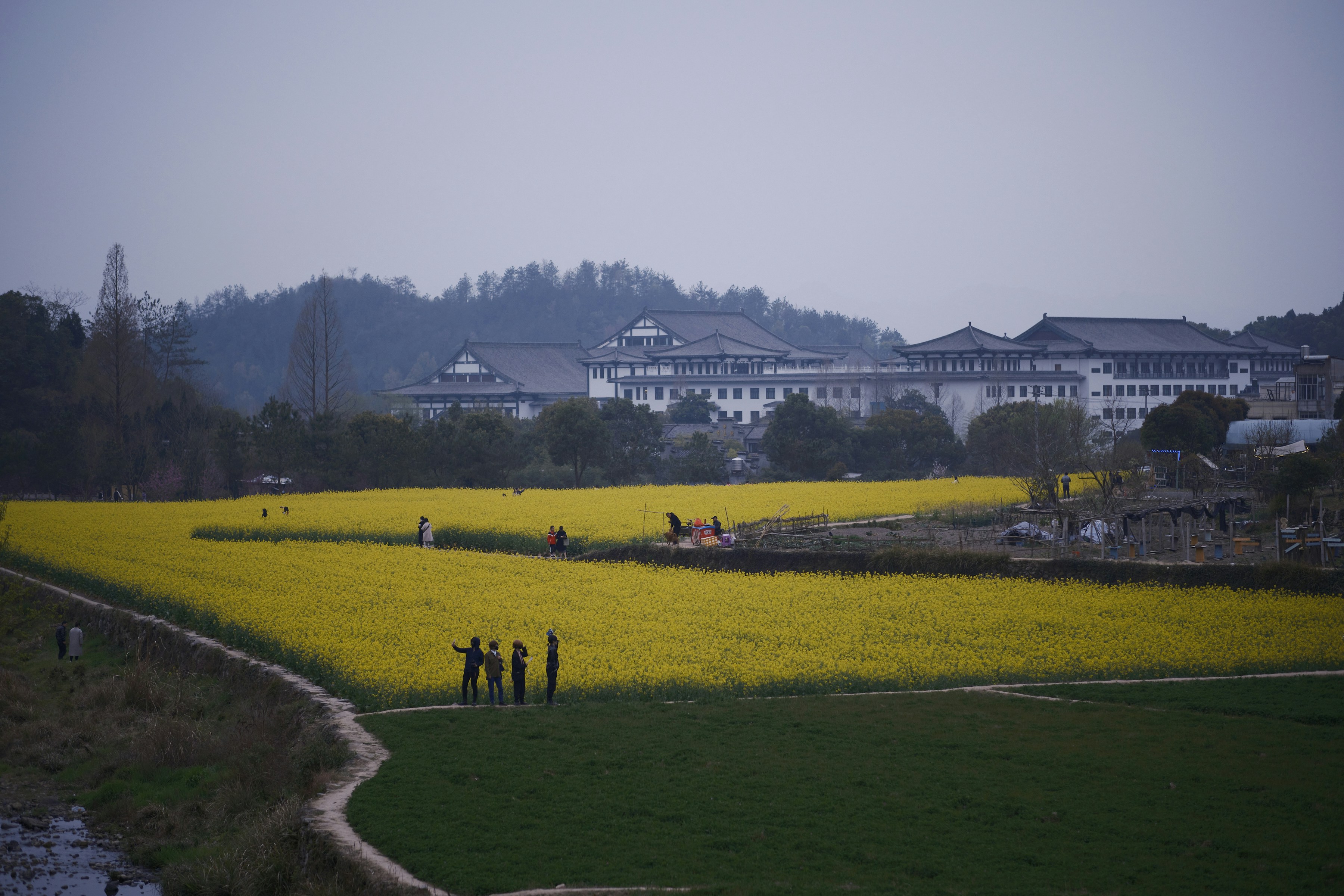 a group of people standing in a field of yellow flowers