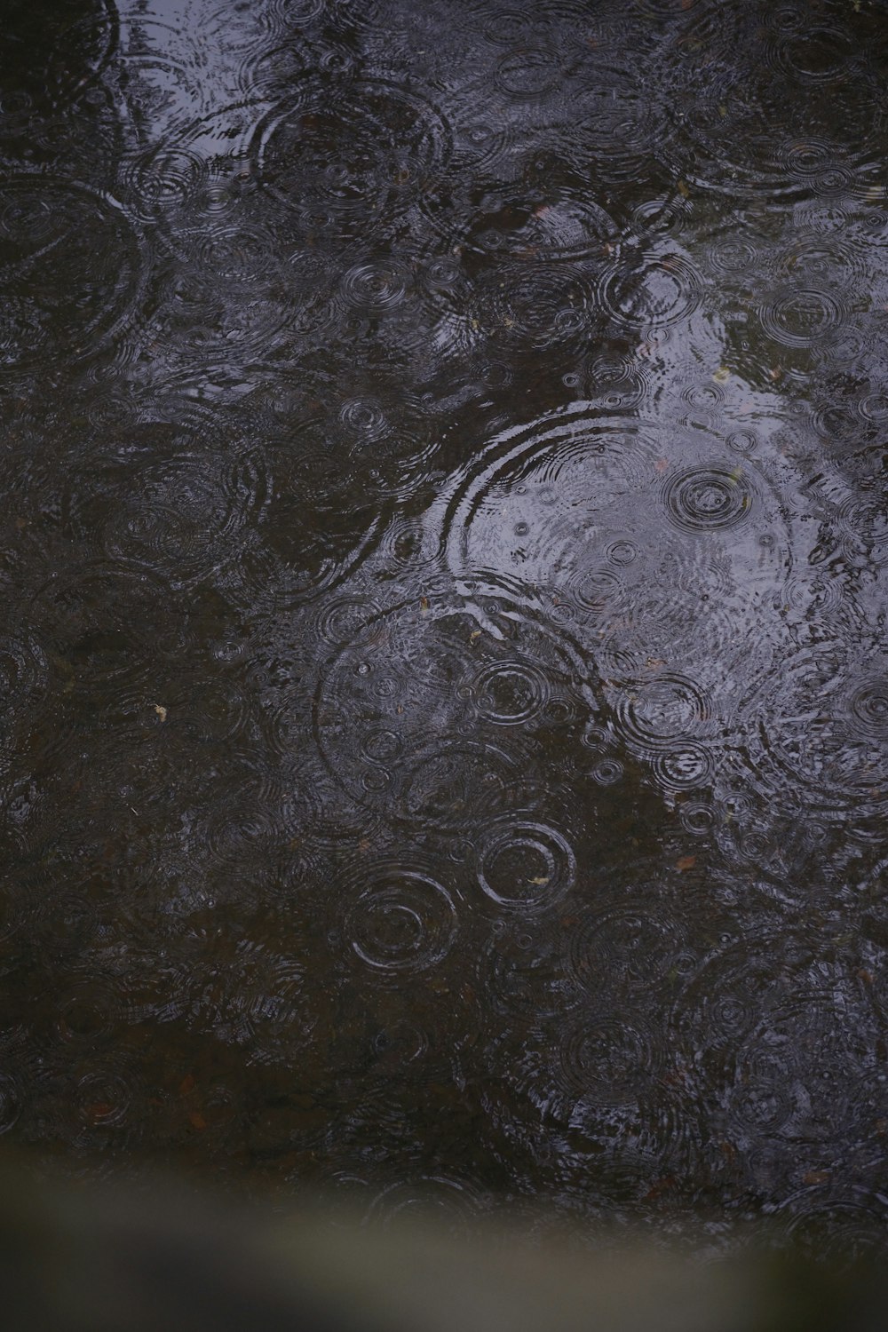 a puddle of water with circles on it