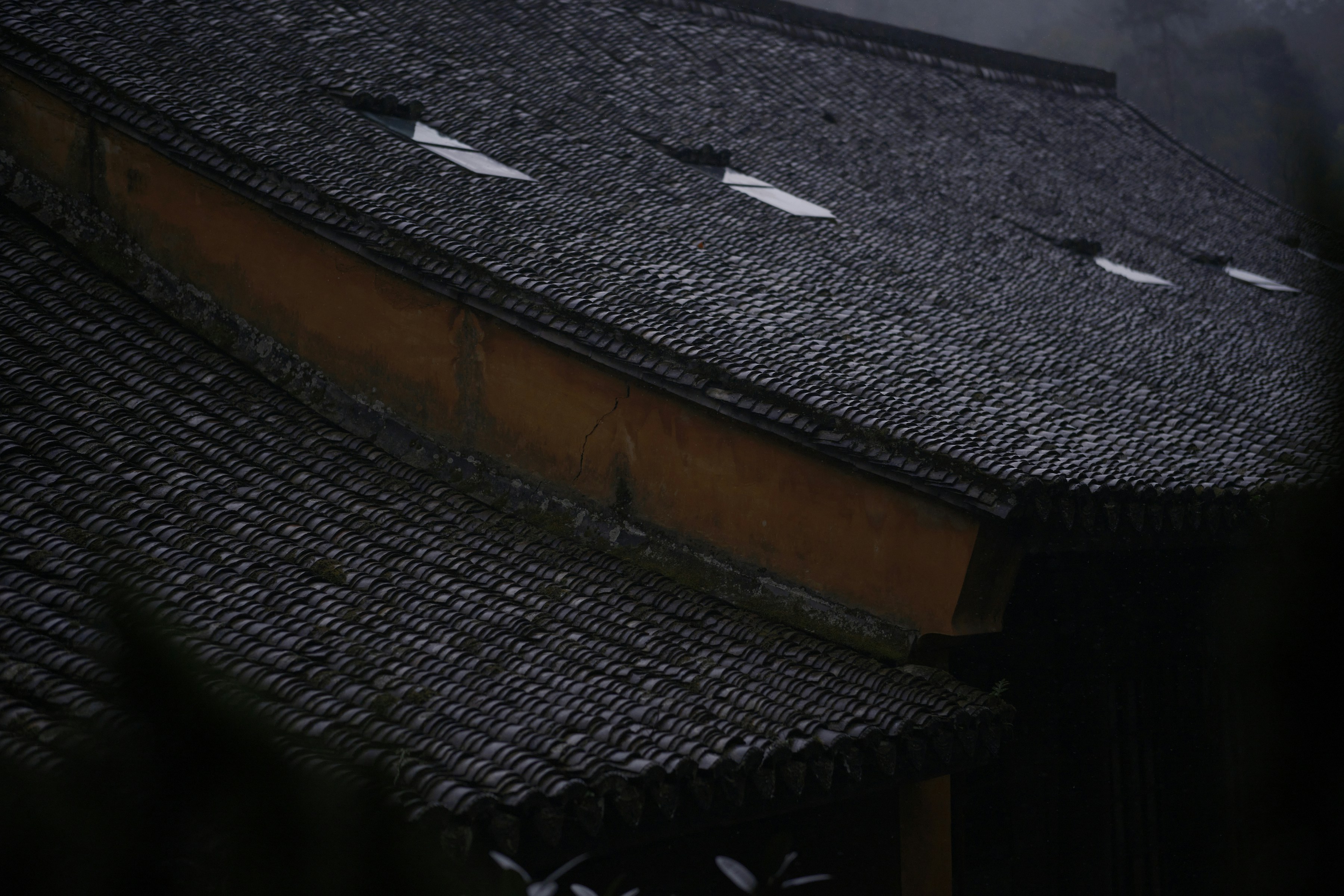 Photo by seelean