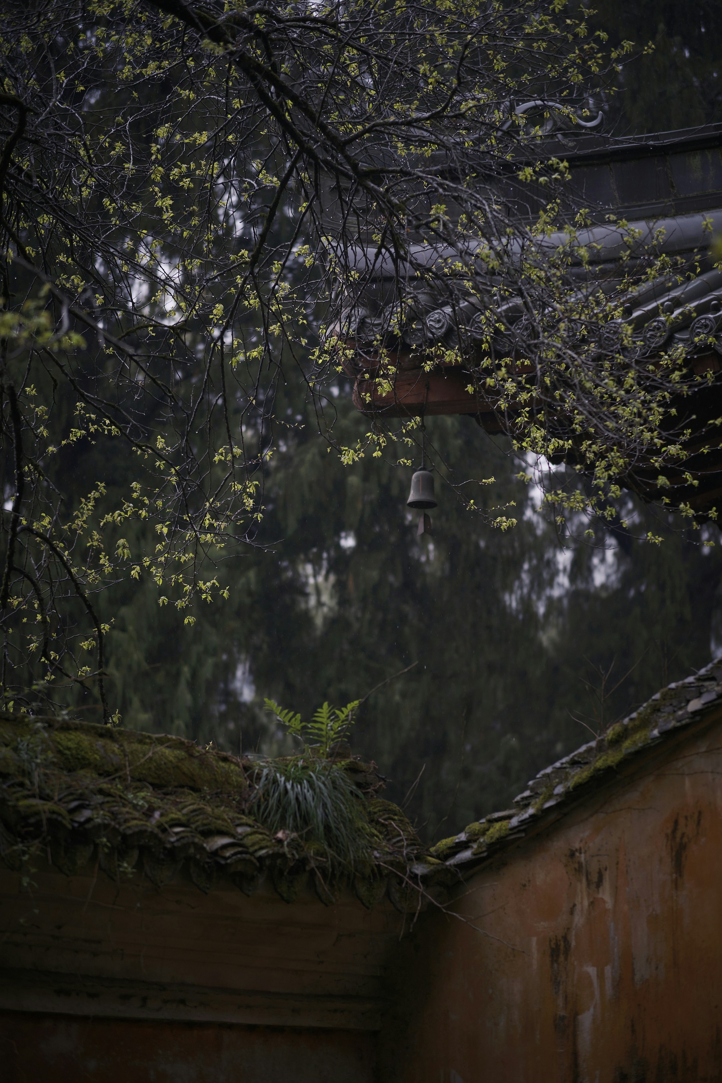 Photo by seelean