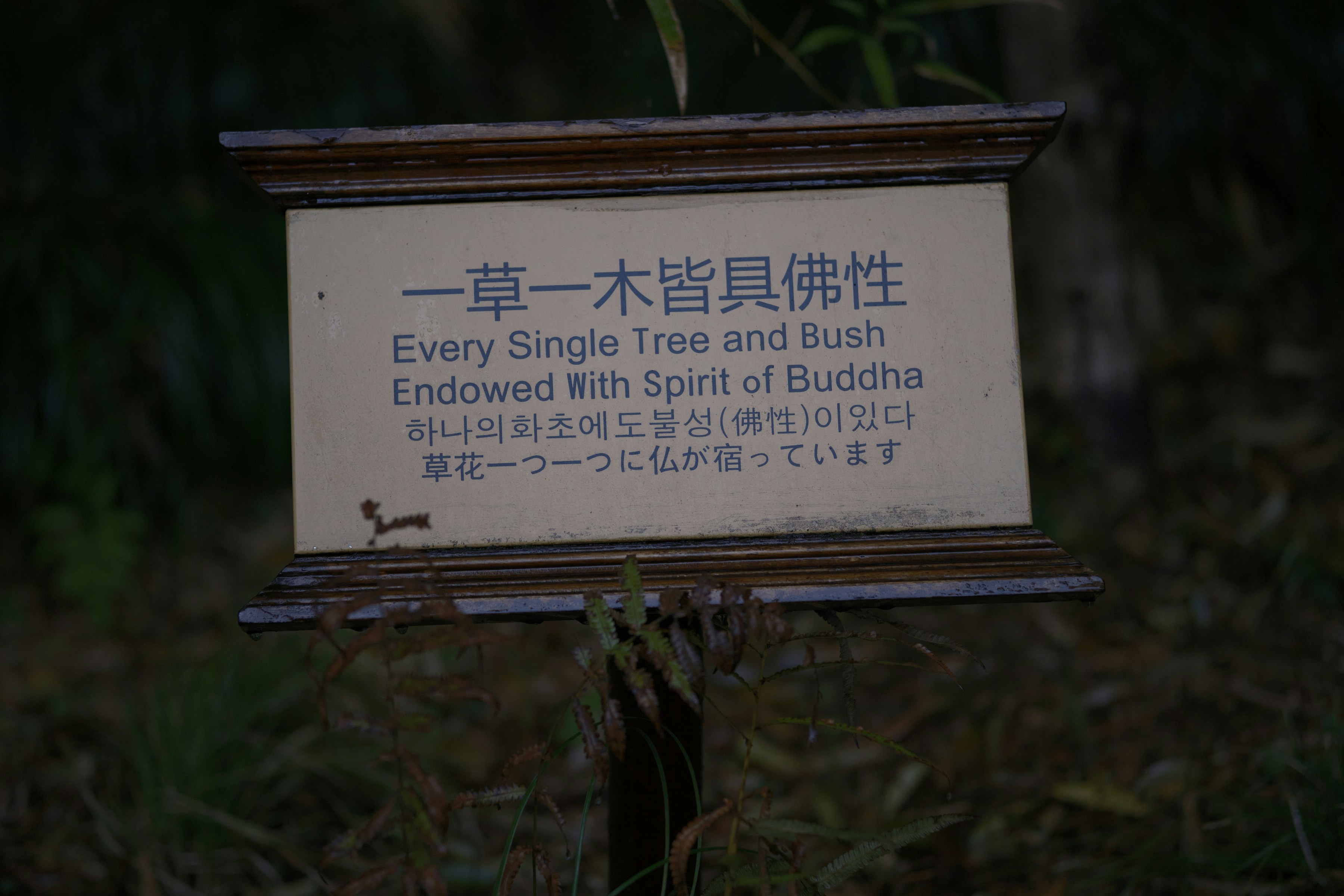 a sign that is in the grass near a bush