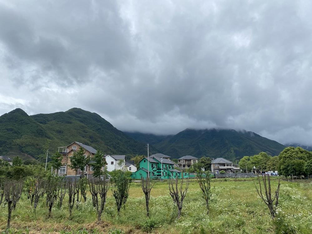 a green field with houses and mountains in the background