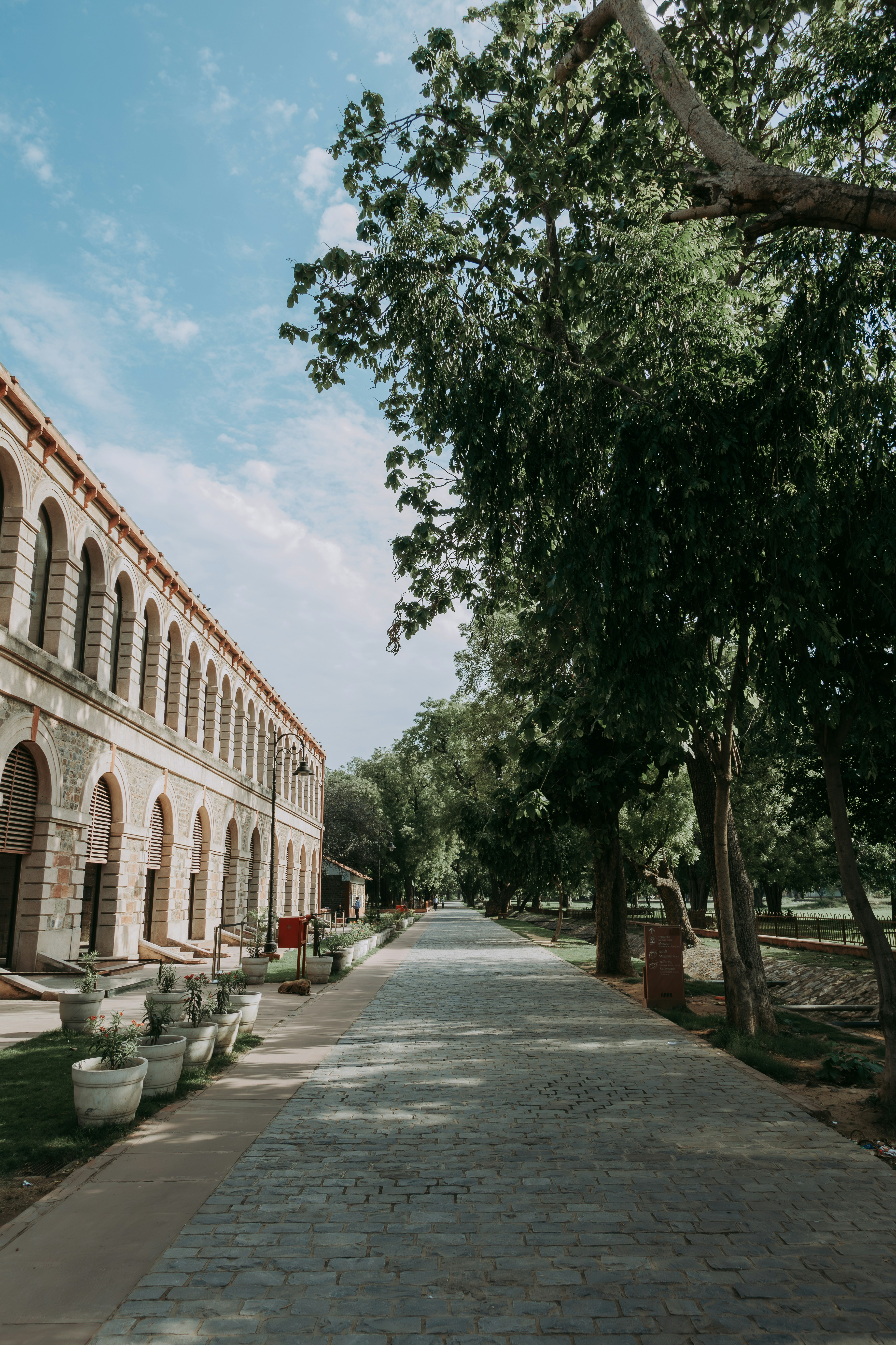 Photo by pramodtiwari