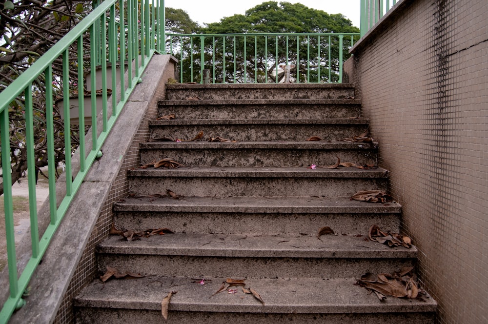 a set of stairs leading up to a green gate