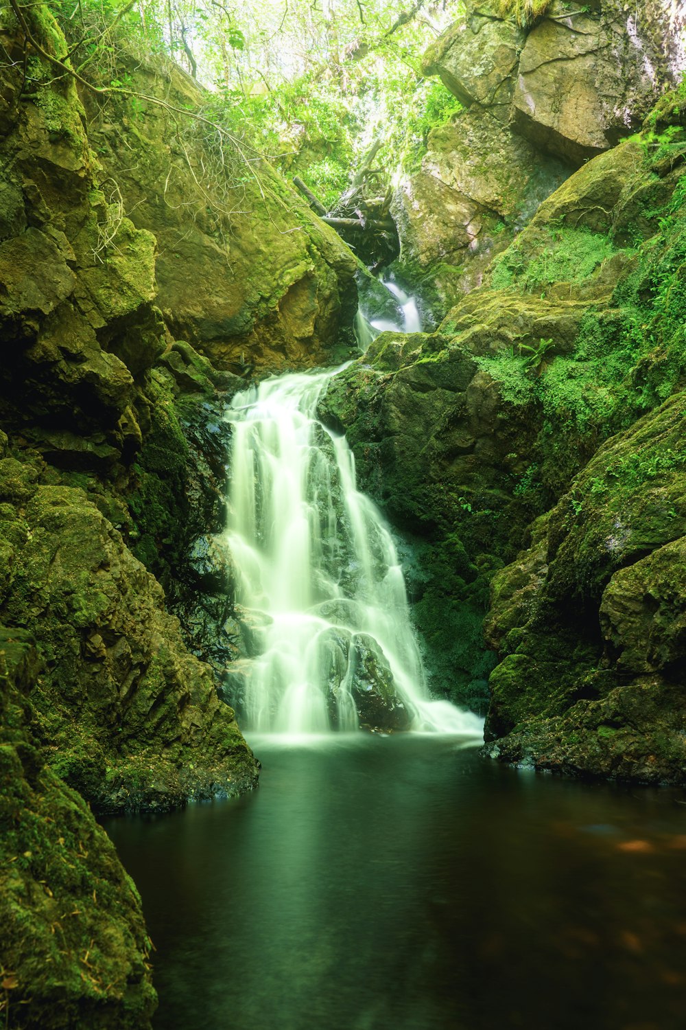 a waterfall in the middle of a lush green forest