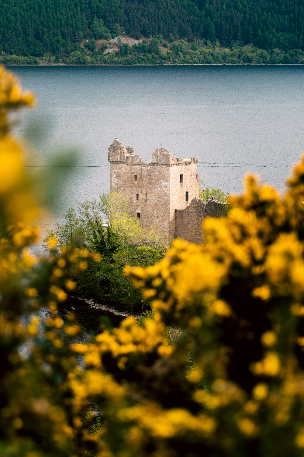 a castle sitting on top of a lush green hillside