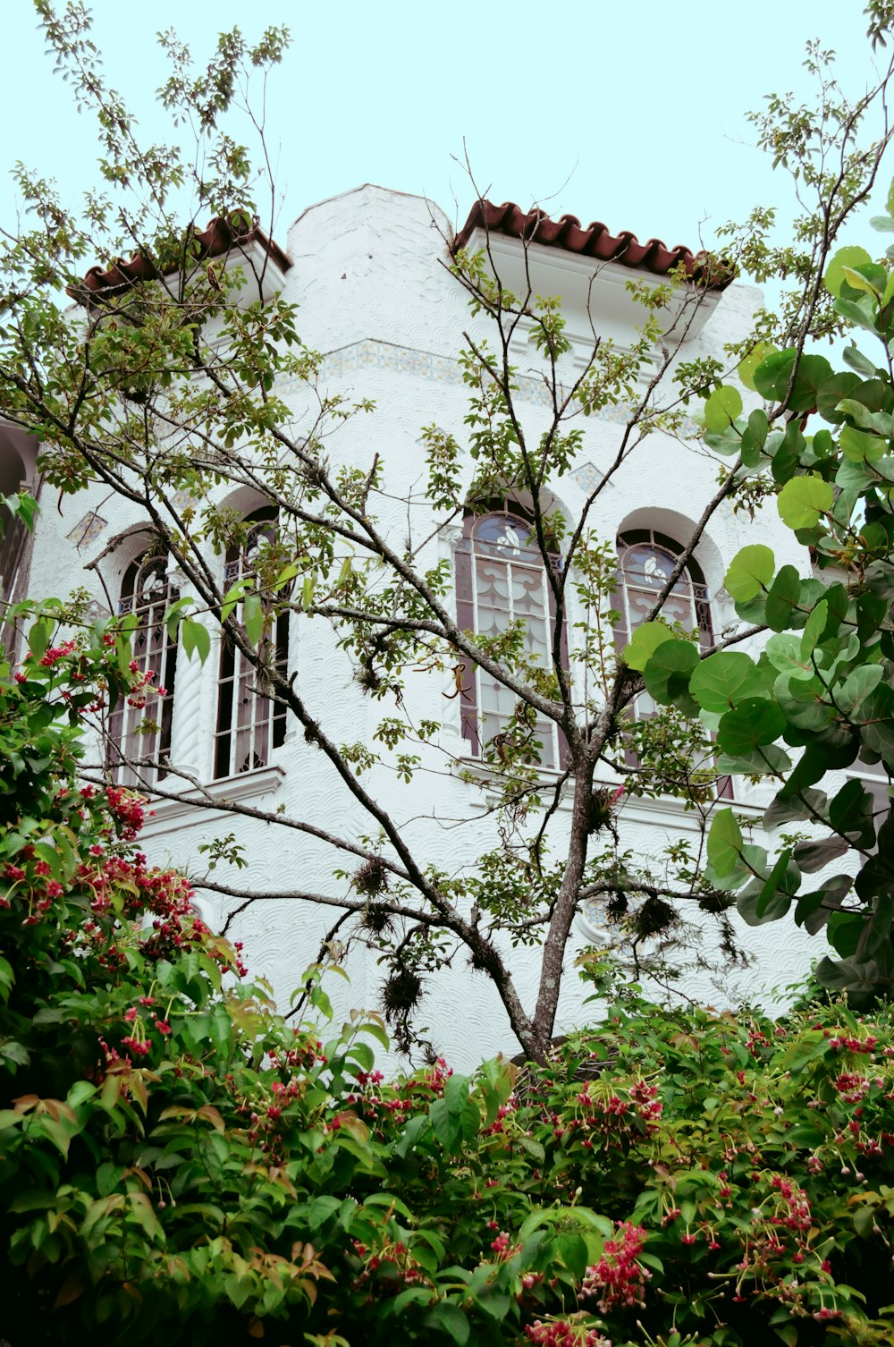 a white building with red flowers and a tree in front of it