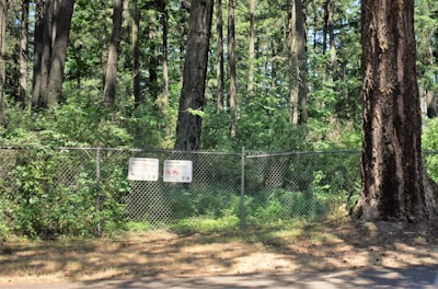 A chain-link fence runs through a dense forest area with tall trees and lush greenery. Two signs are attached to the fence, conveying instructions or warnings. Sunlight filters through the trees, casting patches of light and shadow on the ground.