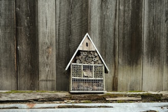 A small wooden structure resembling a house, designed as an insect hotel, is mounted against a rustic wooden fence. It is filled with natural materials such as bamboo sticks and pinecones, organized within various compartments. The background features weathered wooden boards and a strip of moss-covered wood at the base.