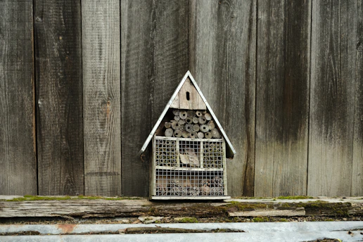 A small wooden structure resembling a house, designed as an insect hotel, is mounted against a rustic wooden fence. It is filled with natural materials such as bamboo sticks and pinecones, organized within various compartments. The background features weathered wooden boards and a strip of moss-covered wood at the base.