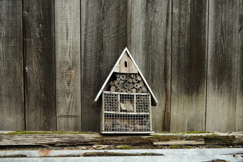 A close-up of the mosquito hotel insect trap set up on a wooden porch, showing its simple cardboard design.