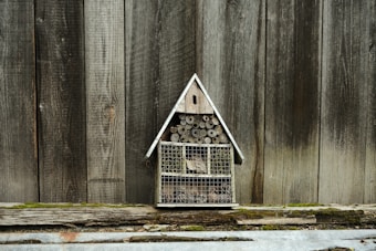 A small wooden structure resembling a house, designed as an insect hotel, is mounted against a rustic wooden fence. It is filled with natural materials such as bamboo sticks and pinecones, organized within various compartments. The background features weathered wooden boards and a strip of moss-covered wood at the base.