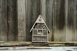 A small wooden structure resembling a house, designed as an insect hotel, is mounted against a rustic wooden fence. It is filled with natural materials such as bamboo sticks and pinecones, organized within various compartments. The background features weathered wooden boards and a strip of moss-covered wood at the base.