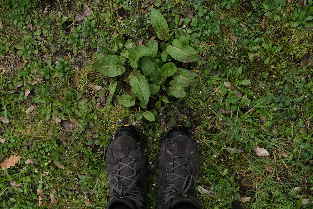 a pair of black shoes standing on top of a lush green field