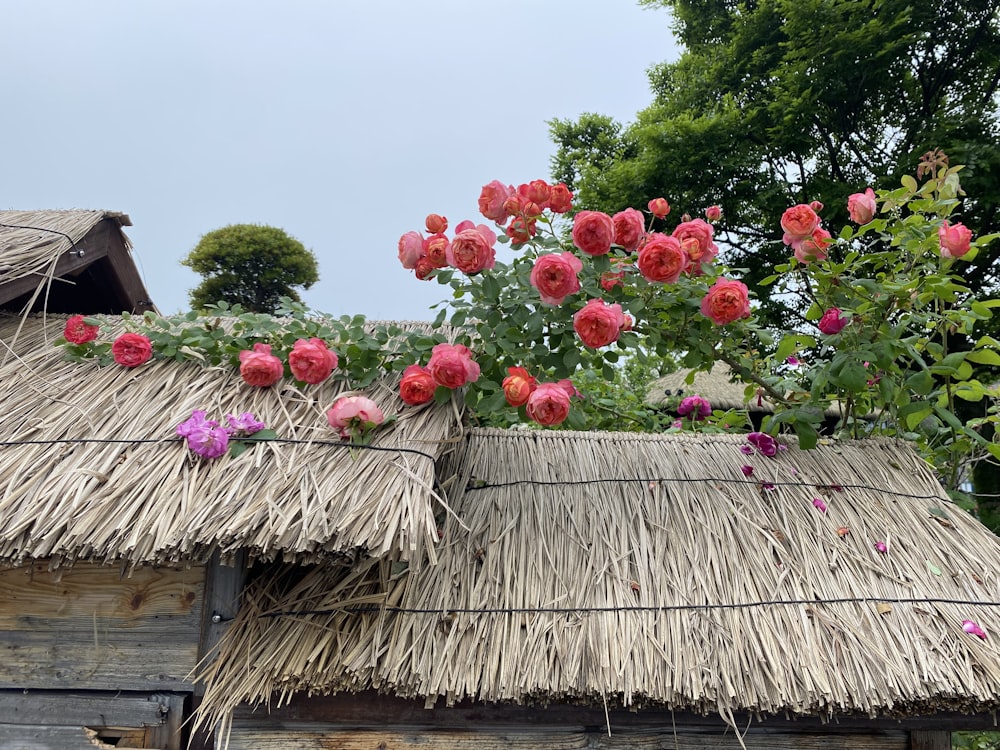 a thatched roof with flowers growing on it