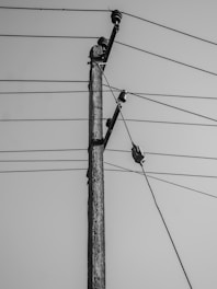 a black and white photo of a telephone pole