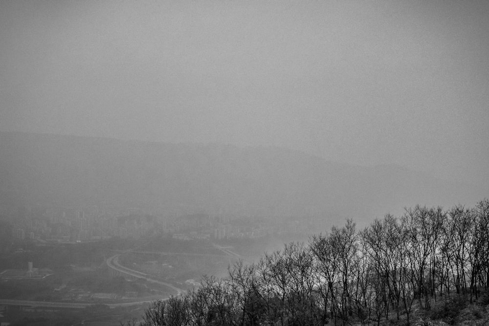 Una foto en blanco y negro de un día de niebla