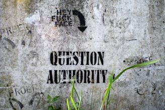 Graffiti with bold text on a weathered concrete wall, saying 'Question Authority' in black stencil. Above, a provocative message is partially visible. Green plants grow in front, adding contrast to the rugged surface.