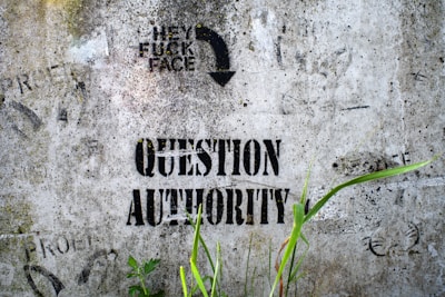 Graffiti with bold text on a weathered concrete wall, saying 'Question Authority' in black stencil. Above, a provocative message is partially visible. Green plants grow in front, adding contrast to the rugged surface.