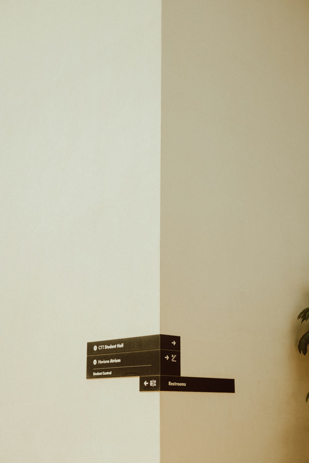 a black and white sign on a wall next to a potted plant