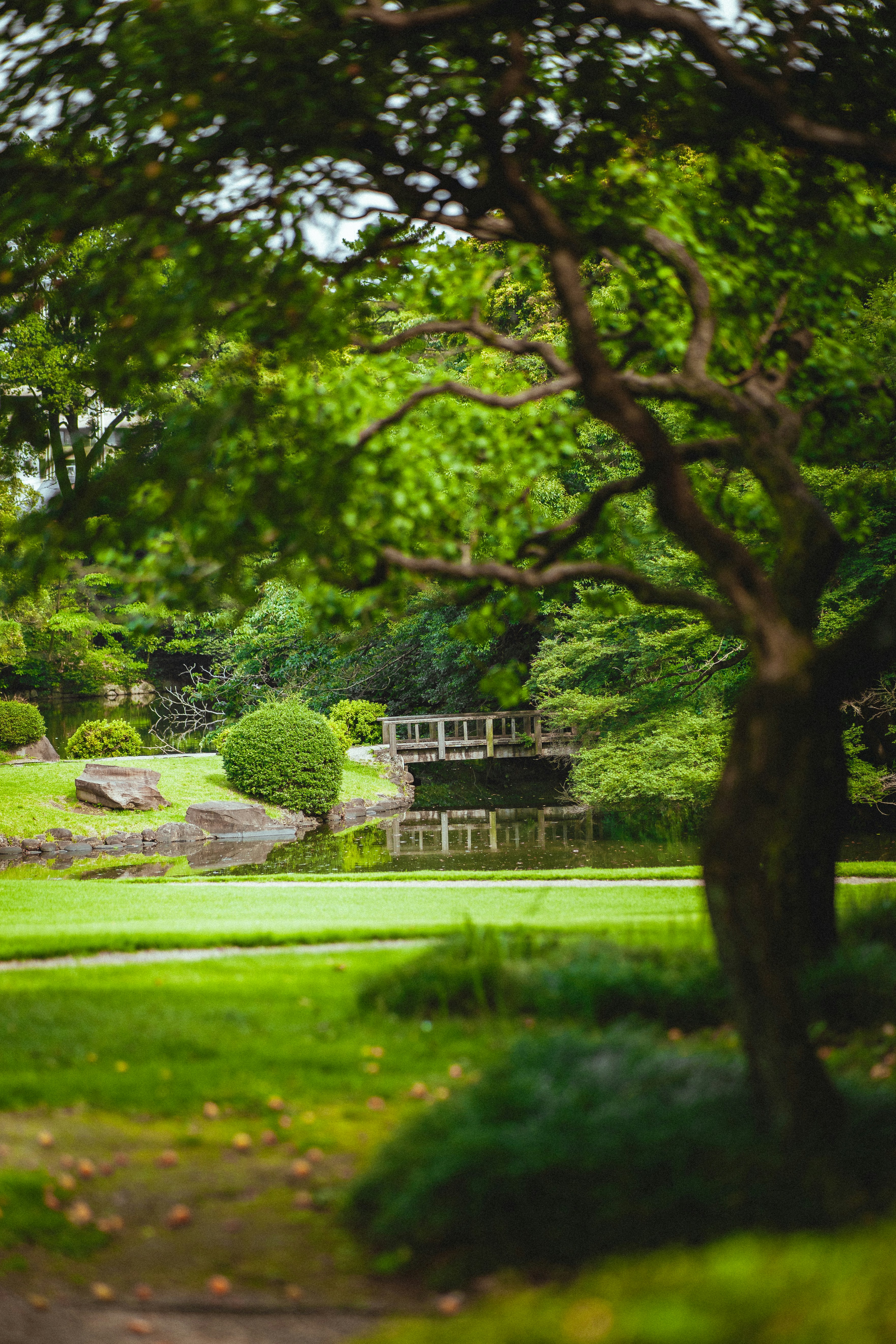 Photo by shields_mcmxcix