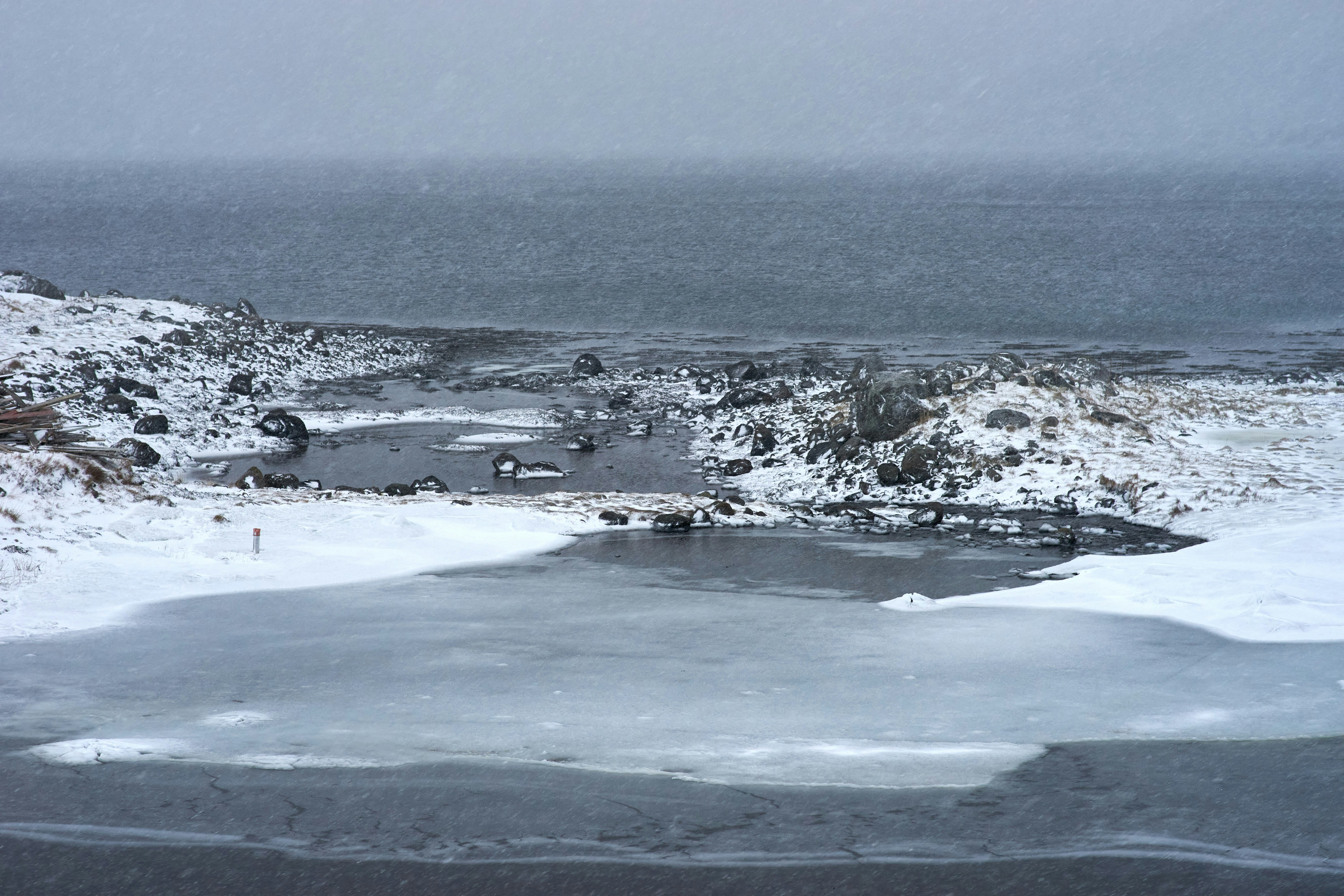 Photo by wolfgang_hasselmann