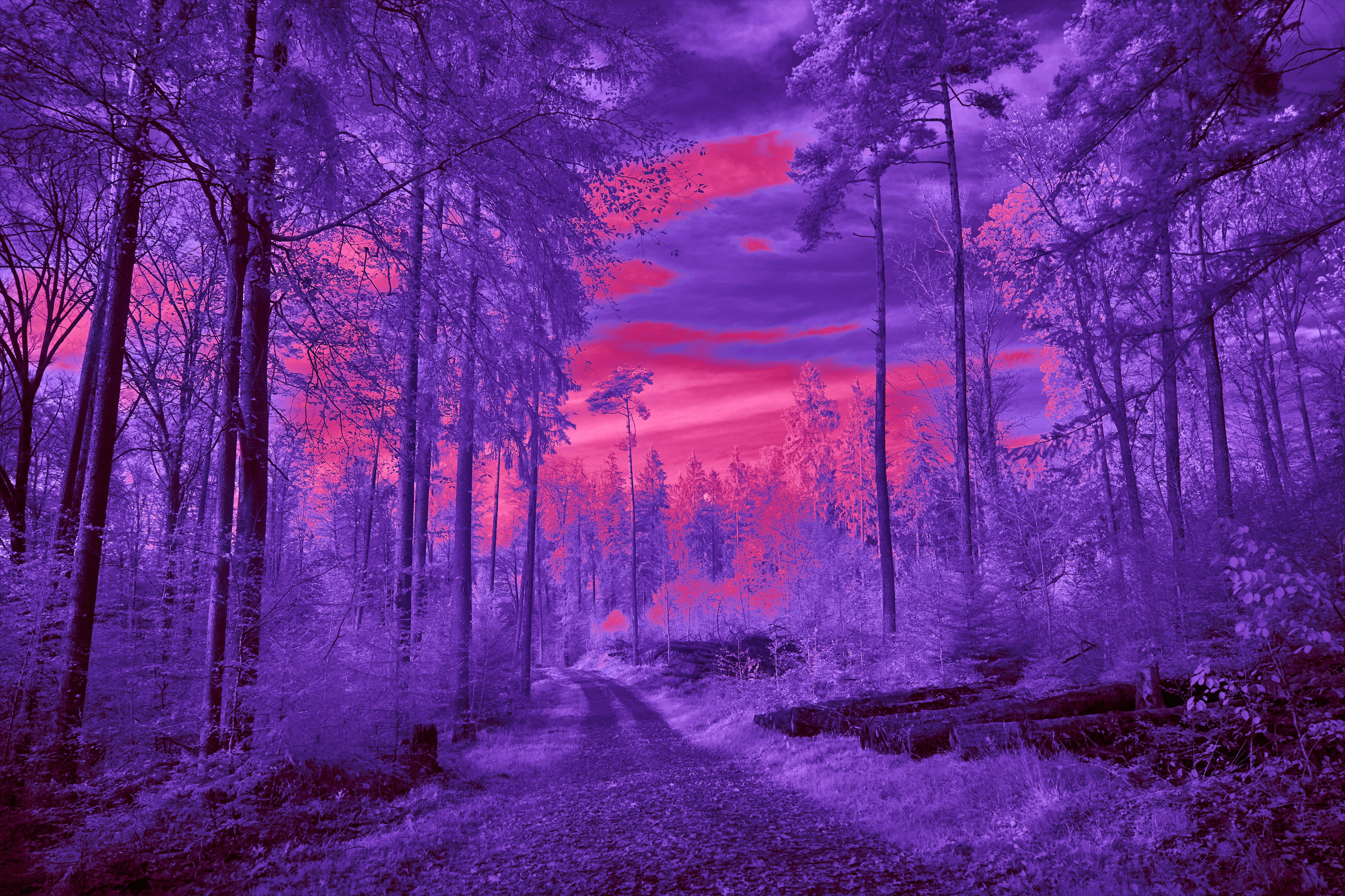 Photo by wolfgang_hasselmann