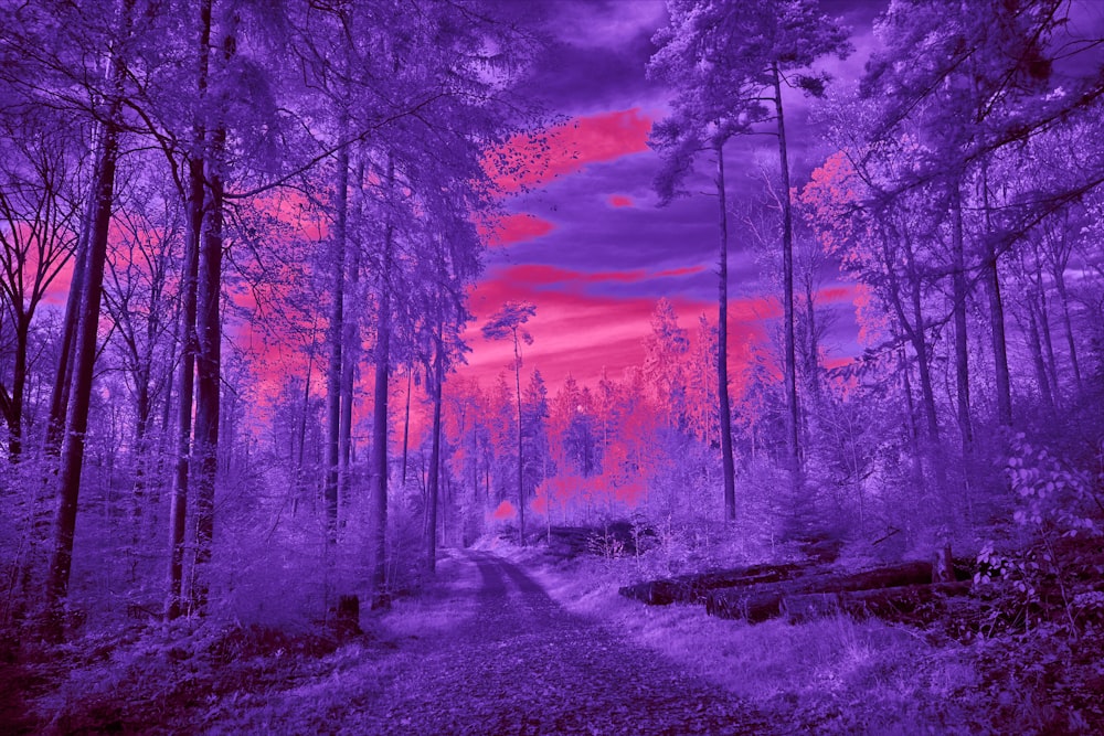 a red and purple photo of a road in the woods